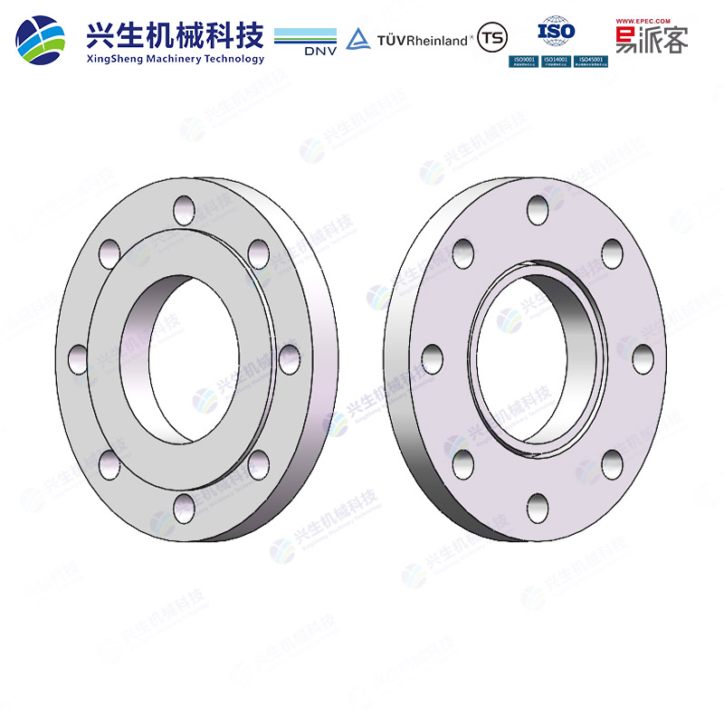 管端翻边板式松套法兰（Loose plate flange pressed collar）-Type 02&37 EN1092-1 ZGXS-装配体