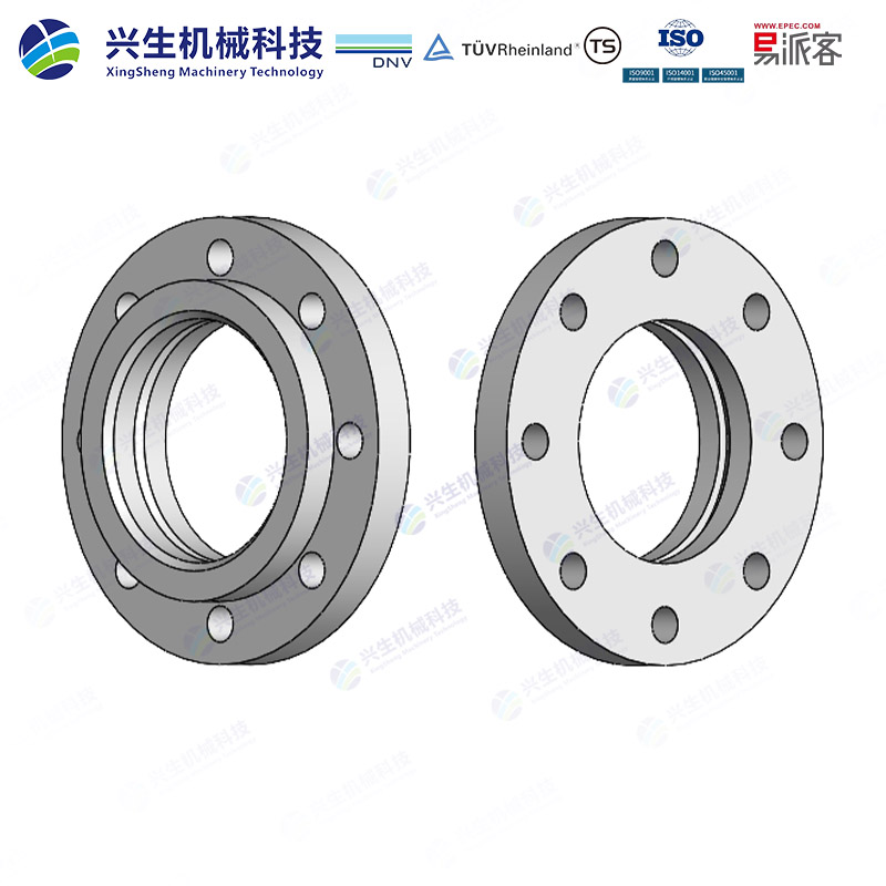 平焊环板式松套法兰（Flat welded ring plate loose flange）-Type 02 GOST 33259-2015 ZGXS-装配体