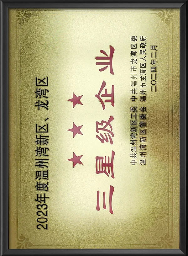 2023年度温州湾新区、龙湾区三星级企业