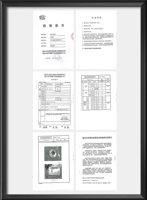 止回阀检验报告