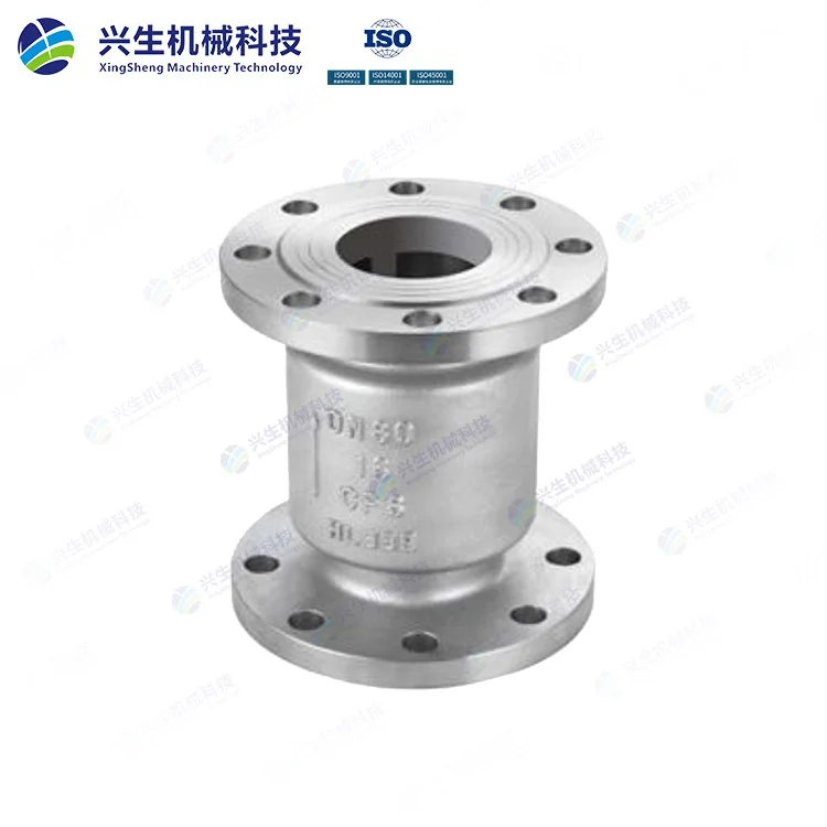 国标立式止回阀