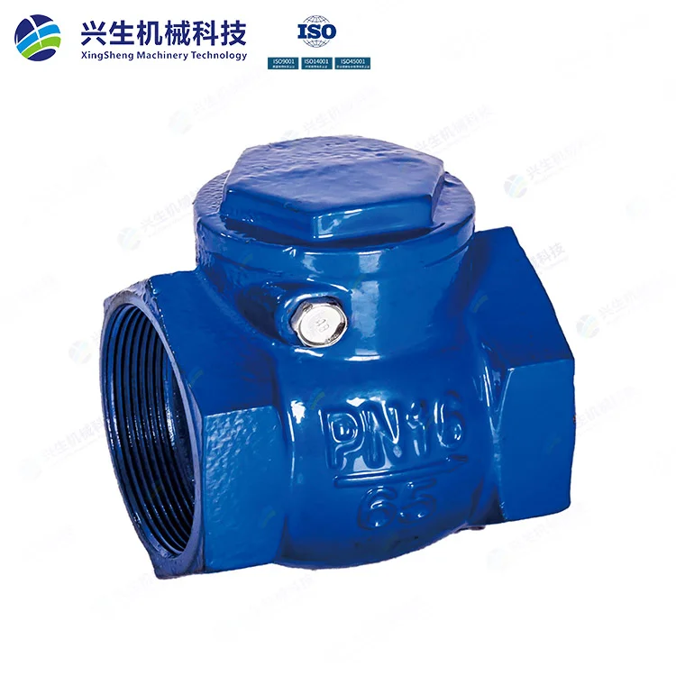 丝口止回阀（球墨铸铁）