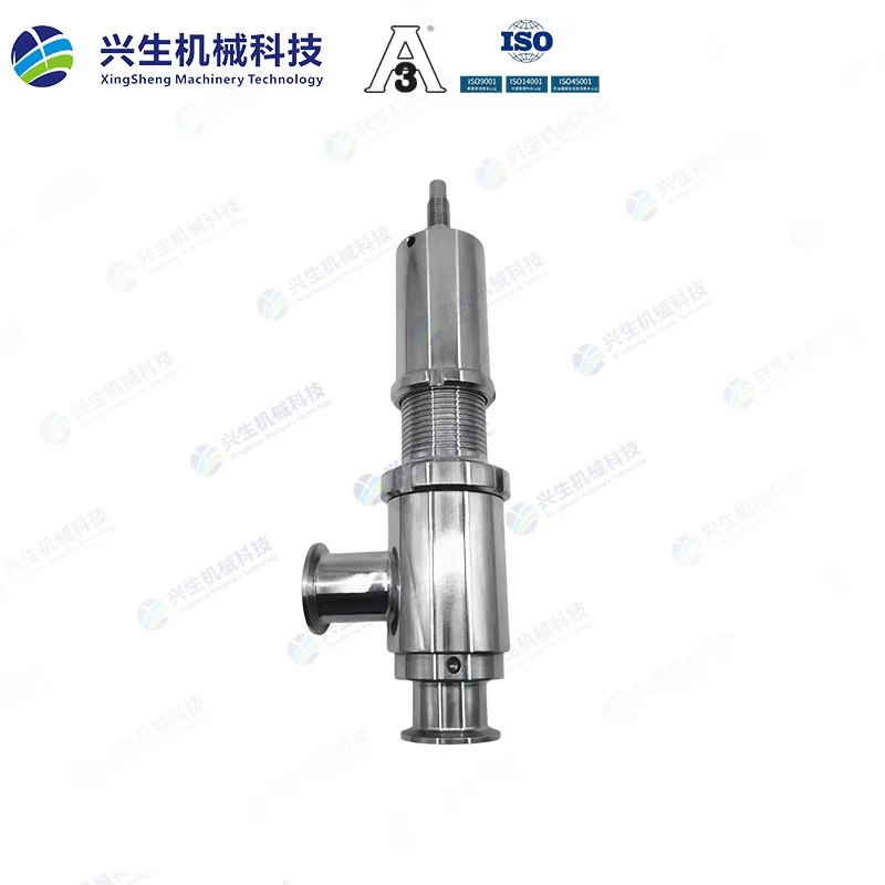 凯塞曼式安全阀