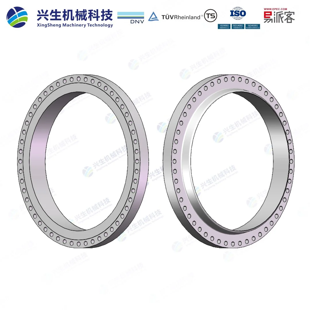 大直径钢制管法兰A WN RF(Large Diameter Steel Flanges A WN RF)