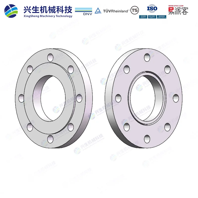 管端翻边板式松套法兰（Loose plate flange pressed collar）-Type 02&37 EN1092-1 ZGXS-装配体
