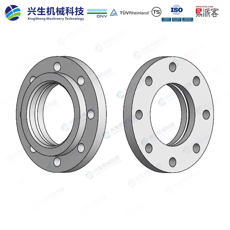 平焊环板式松套法兰（Flat welded ring plate loose flange）-Type 02 GOST 33259-2015 ZGXS-装配体